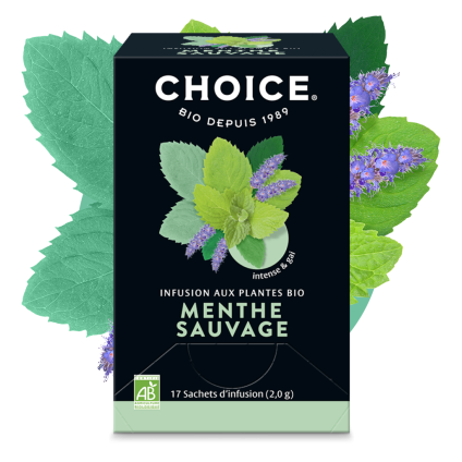 Menthe Sauvage